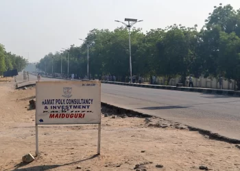 Yadda wasu fasinjoji sun shiga hannun yan Boko Haram a hanyar Maiduguri