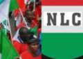 NLC tayi martani kan kokarin wasu gwamnoni na kassara maaikata