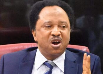 Wani sanata ya fadi gaskiyar abin da yake damun Arewa da kuma yadda za’a iya gyara matsalar
