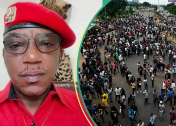 Tsohon ministan Buhari ya bi sahun masu zanga-zangar lumana kalli dalilinsa