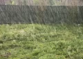 NiMet ta yi hasashen yawaitar tsawa a ranakun Litinin, Talata da Laraba a sassan Najeriya