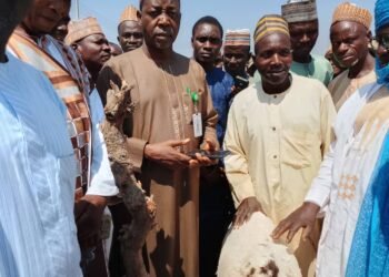 An  Bude Sabuwar Kasuwar Sayar Da:-  Hatsi, Dabbobi, Da Suran Kayayyakin  Masarufi  A Garin Dutse Dake Kantitin Kaduna Zuwa Abuja A Yakin Karamar Hukumar Chikun, Jihar Kaduna