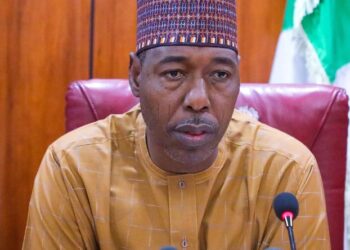 Gwamnan Borno ya roki gwamnatin tarayya Abu ɗaya domin yanta Garin Marte daga yan Boko Haram