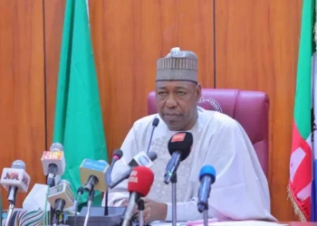 Jami’an tsaro ne ke jawo jama’a cikin aikata miyagun Laifuka: Gwamnan Borno, kalli dalilinsa