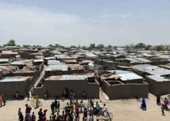 Yadda hare-haren Boko Haram ya mayar da wasu gurare kufai a jihar Borno