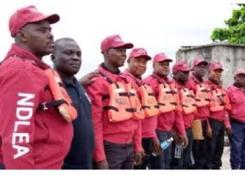 NDLEA Ta Kama Mutane 6, Ta Rushe Maboyar Miyagun Kwayoyi a BUK Old Site Kano