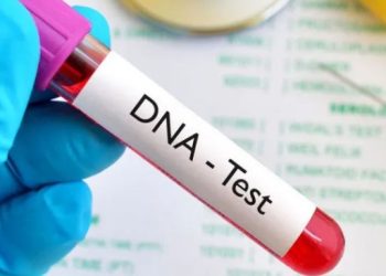 Gwajin DNA: Kashi 23.6% Na Gwaje-Gwajen Uba A Najeriya Sun Nuna Rashin Daidaito